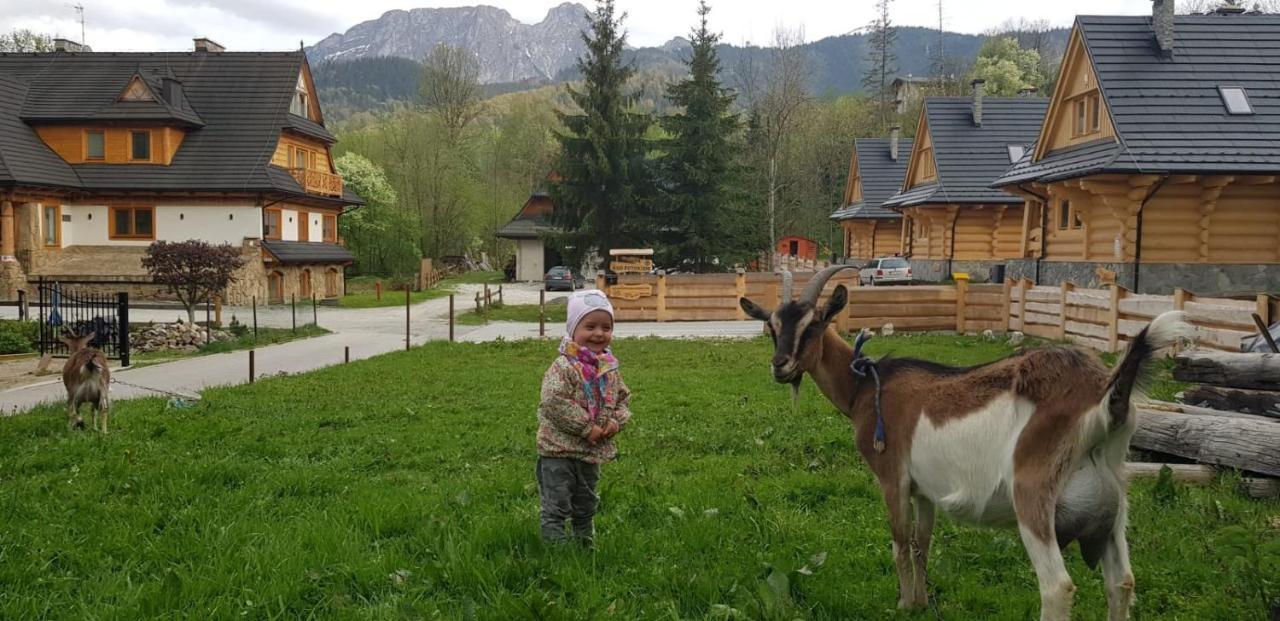 Apartament Karpielowka Przy Potoku Koscielisko Bagian luar foto